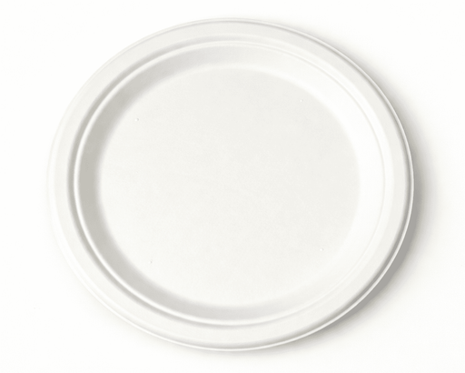 Assiettes robustes biodégradables & compostables - 9 pouces - Roxanne Cuisine