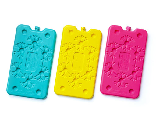 Grands blocs réfrigérants de 400 g (lot de 3) - Roxanne Cuisine