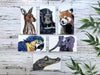 Aimants style animaux exotiques (ensemble de 6) - Roxanne Cuisine