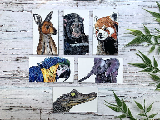 Aimants style animaux exotiques (ensemble de 6) - Roxanne Cuisine